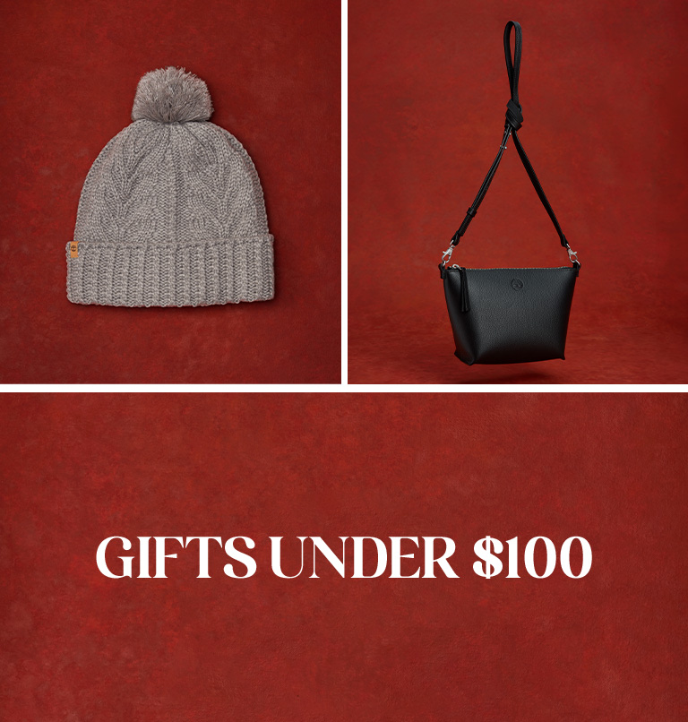 Gifts Under $100