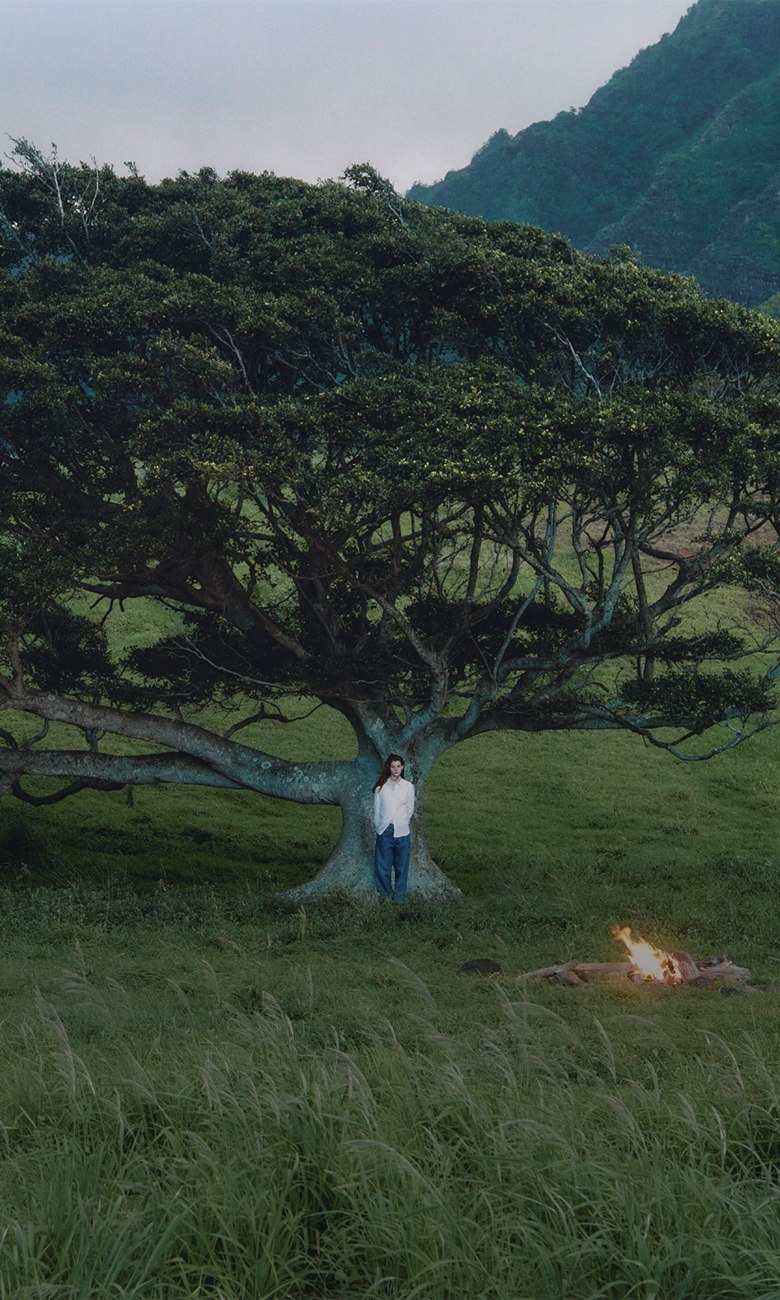 A person standing under a tree in a vast, lush green lanscape.