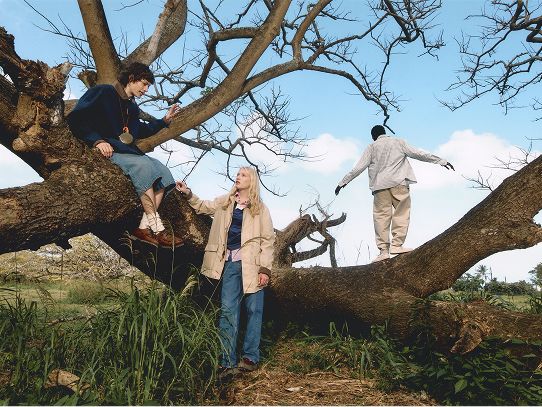 A group of people playfully climbing on a large, low-hanging tree branch.