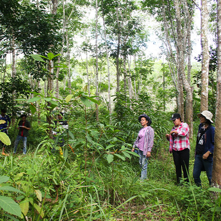 image of 3 people standing in a jungle