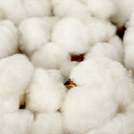 Renewable cotton
