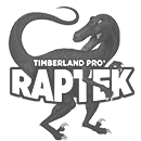 Timberland PRO® Raptek