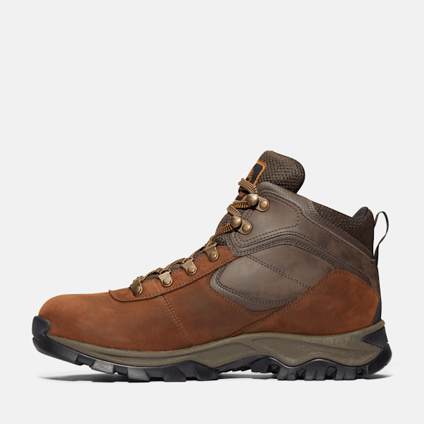 Men's Mt. Maddsen Waterproof Mid Hiking Boots - Dark Brown