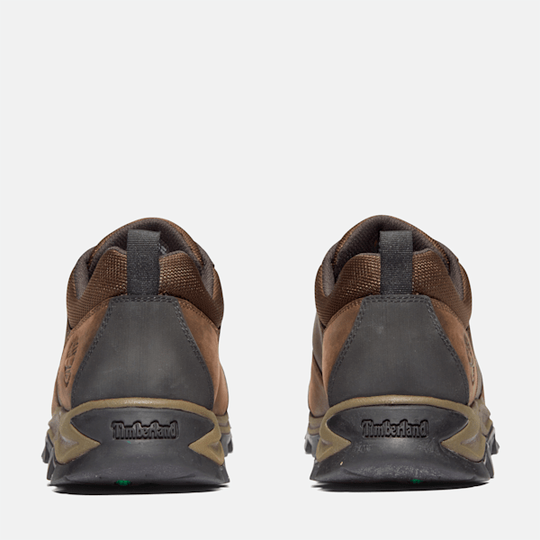 Men's Mt. Maddsen Low Waterproof Hiking Boot