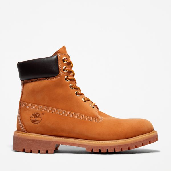 Timberland shops cipele