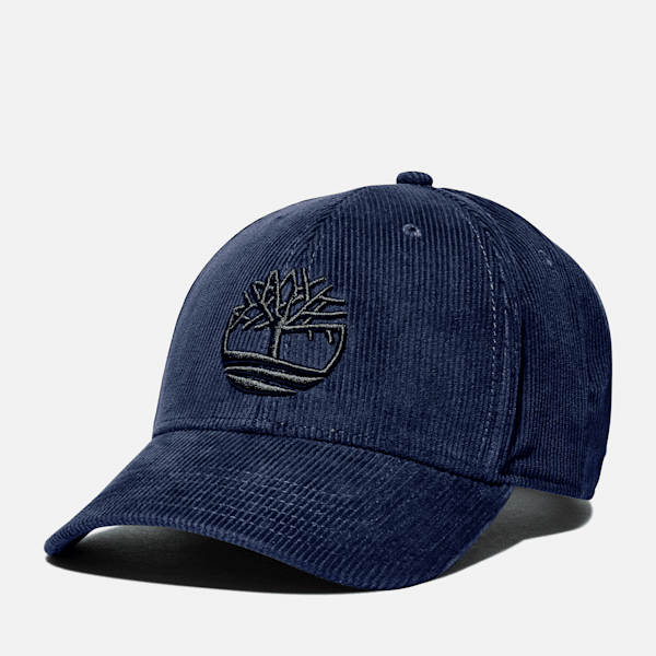 Ｔｉｍｂｅｒｌａｎｄ DENIM　CAP USA製 Denim Cap With Faux Suede Brim