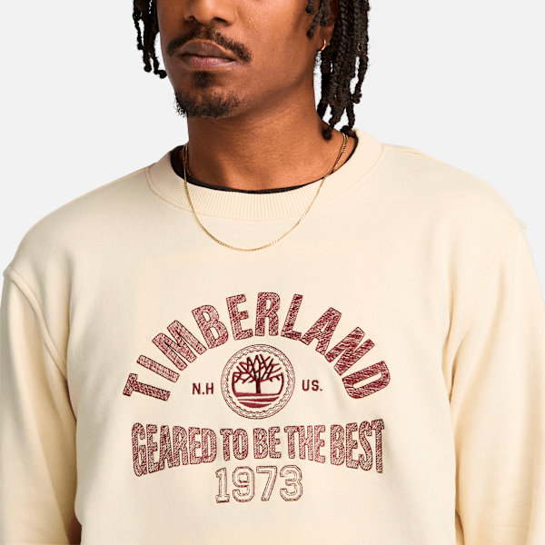 Men's Seasonal Logo Graphic Crew Neck Shirt