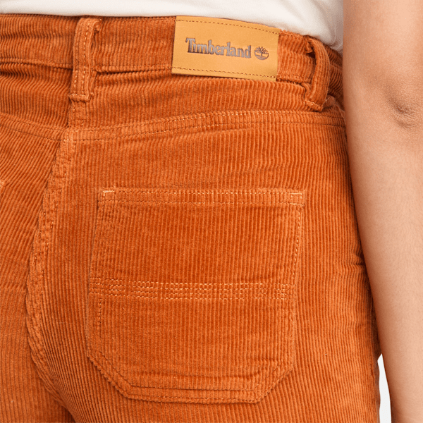 AMBERGLEAM CORDUROY TUCK PANTS / 4colors | FLATBUSH