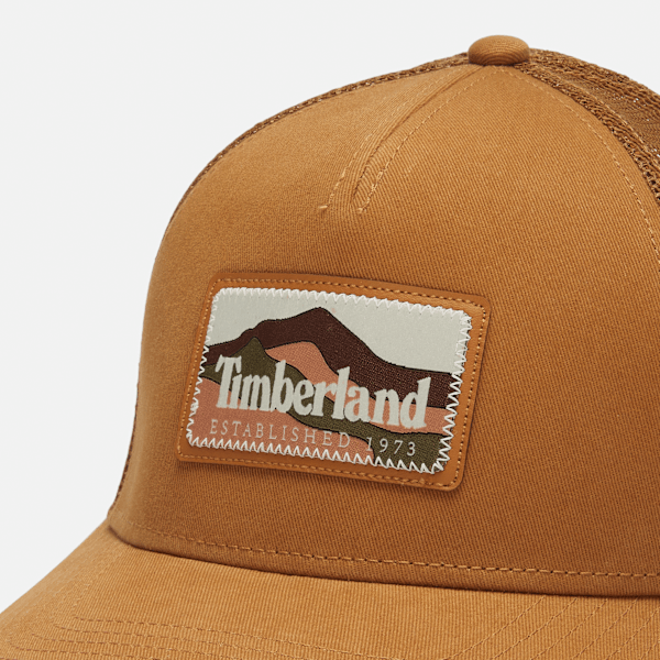 Denim Cap With Faux Suede Brim