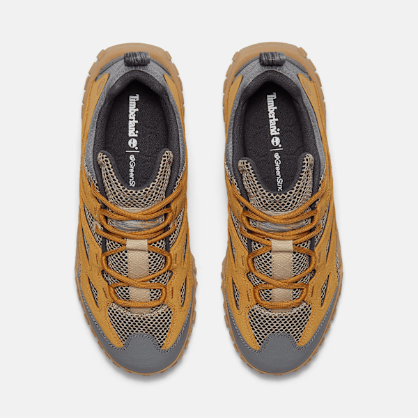 Men's GreenStride™ Motion 6 Sneaker