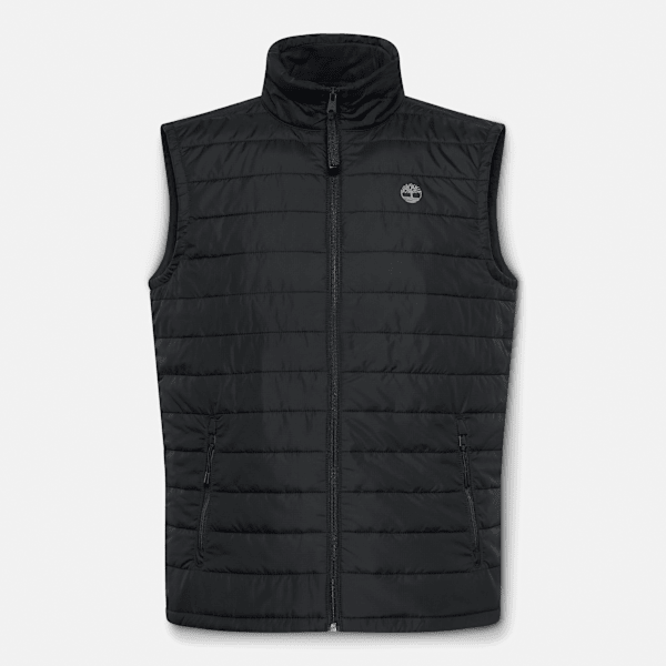 Men's Mt. Eastmann Lightweight Puffer Vest