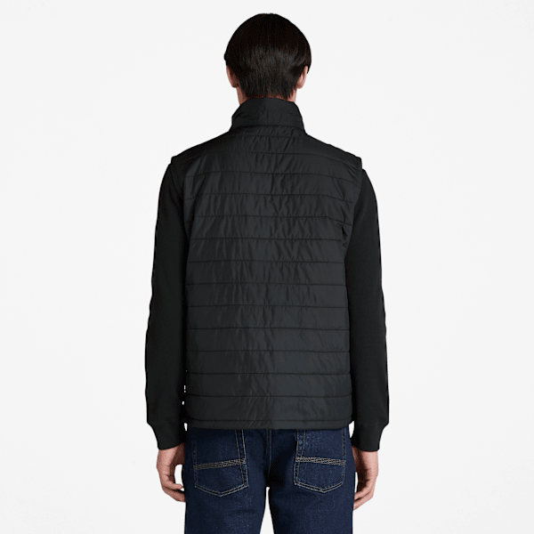 Men's Mt. Eastmann Lightweight Puffer Vest