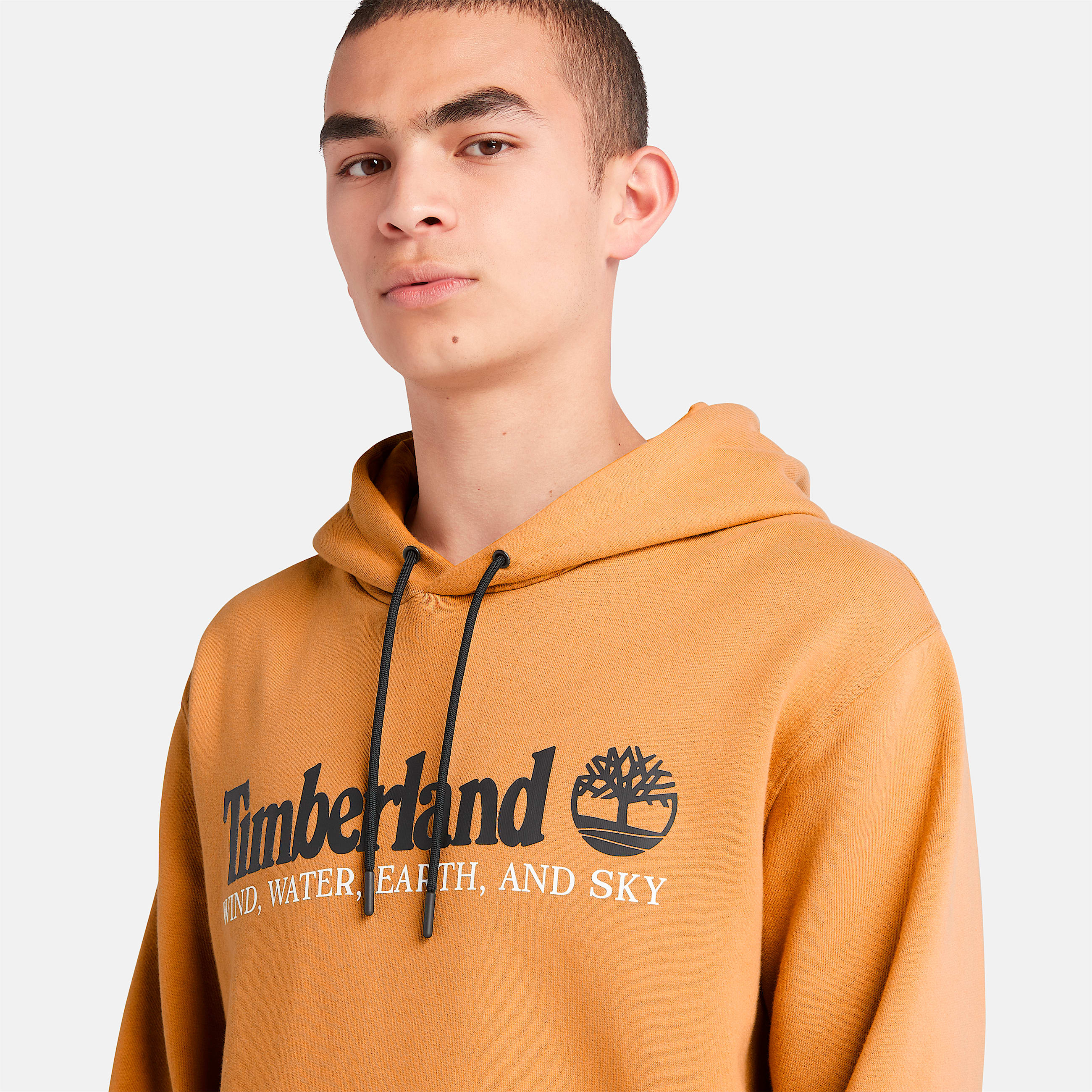 Mens Wind Water Earth and Sky Hoodie TBL Wheat Boot ALT2