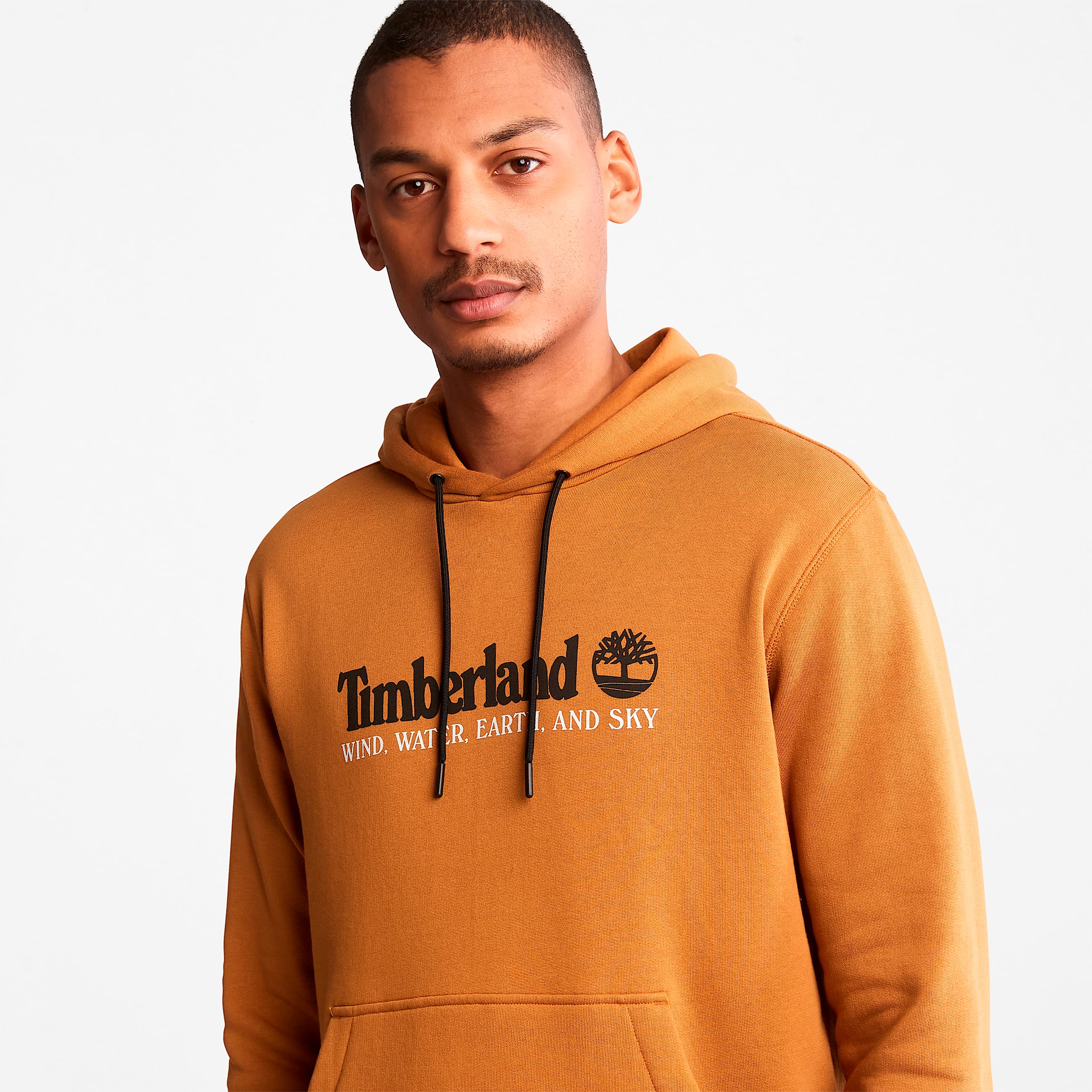 Mens Wind Water Earth and Sky Hoodie TBL Wheat Boot ALT4