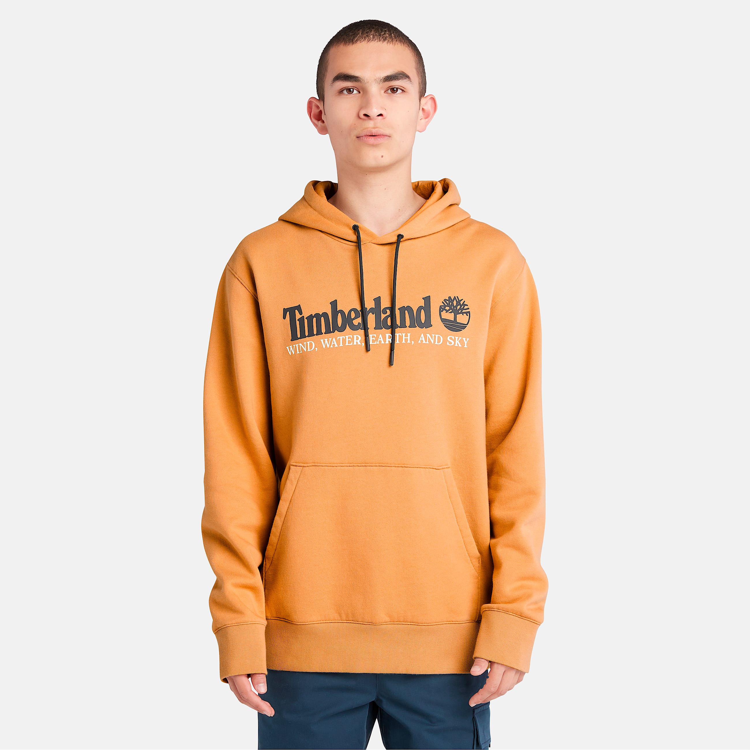 Mens Wind Water Earth and Sky Hoodie TBL Wheat Boot ALT8