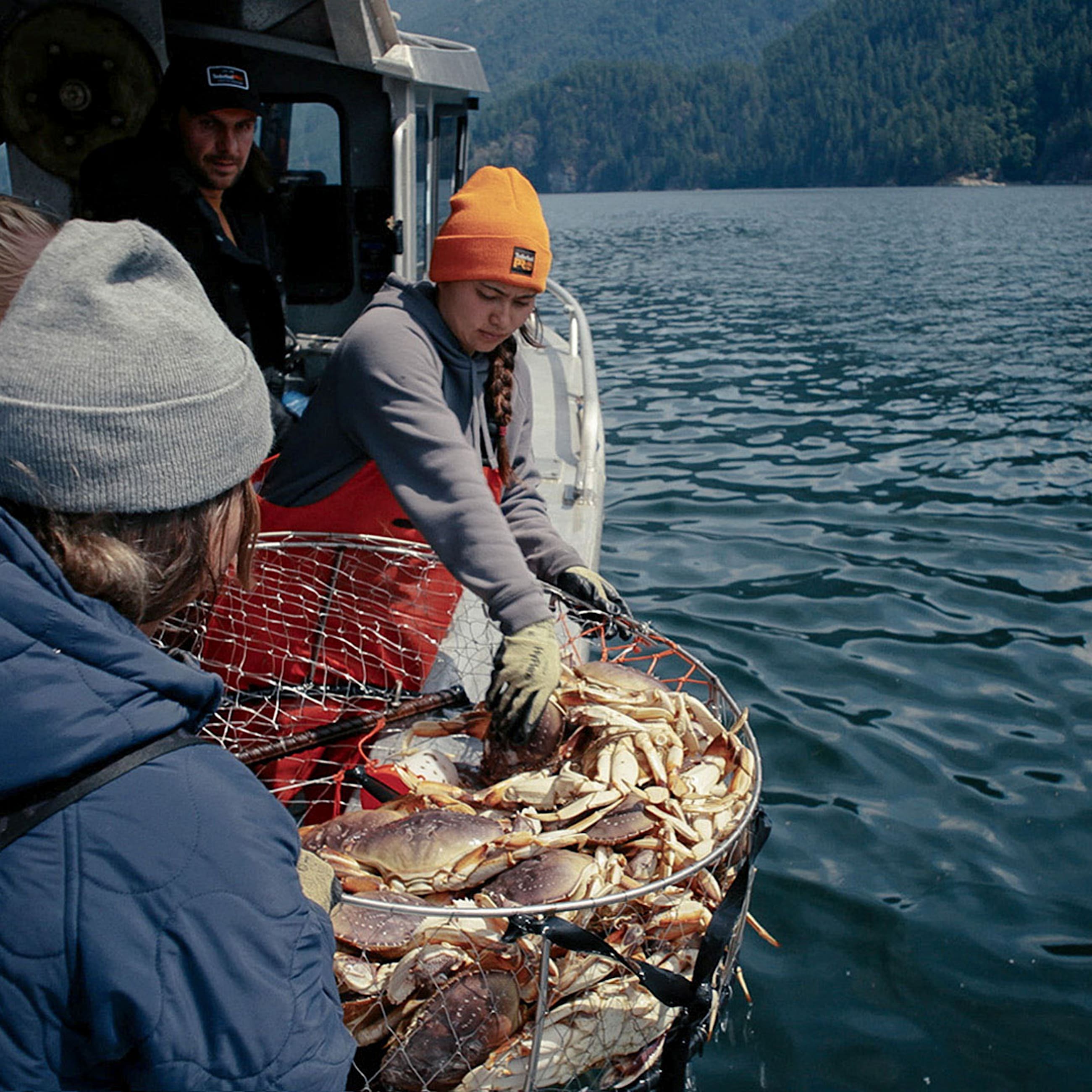 Timberland PRO Watch Cap TBL PRO Orange ALT2