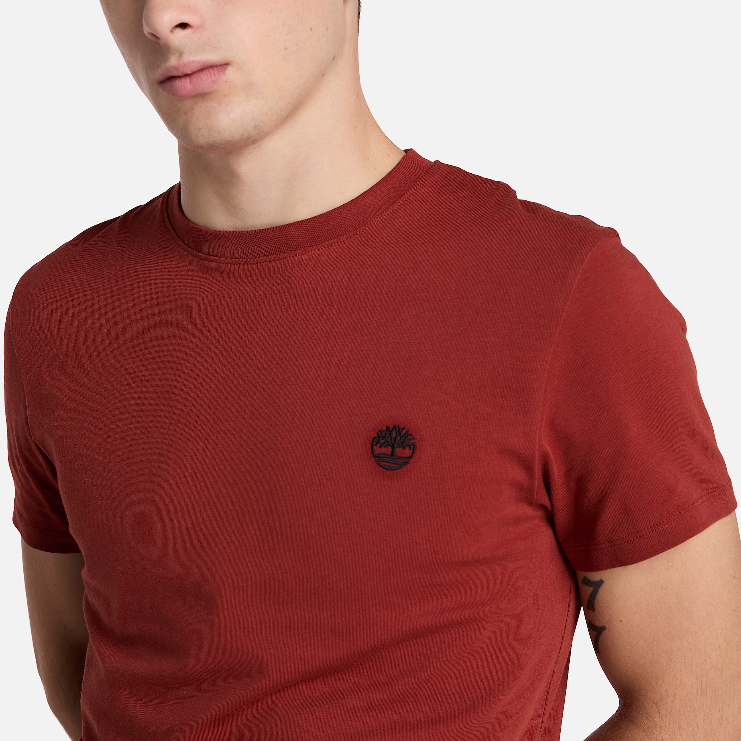 Mens Dunstan River ShortSleeve TShirt TBL Burnt Henna ALT2