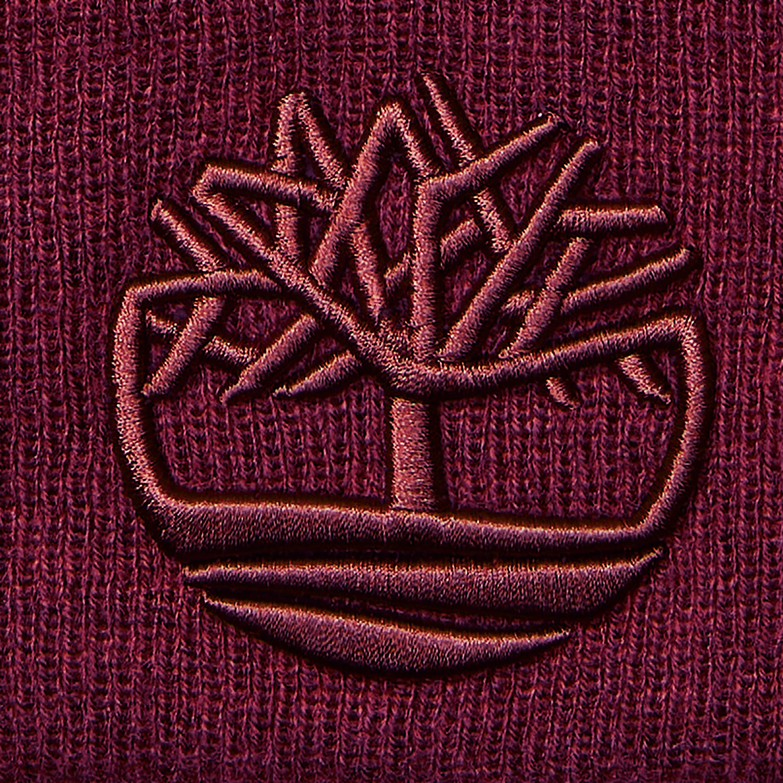 3D Embroidered Beanie TBL Burgundy ALT2