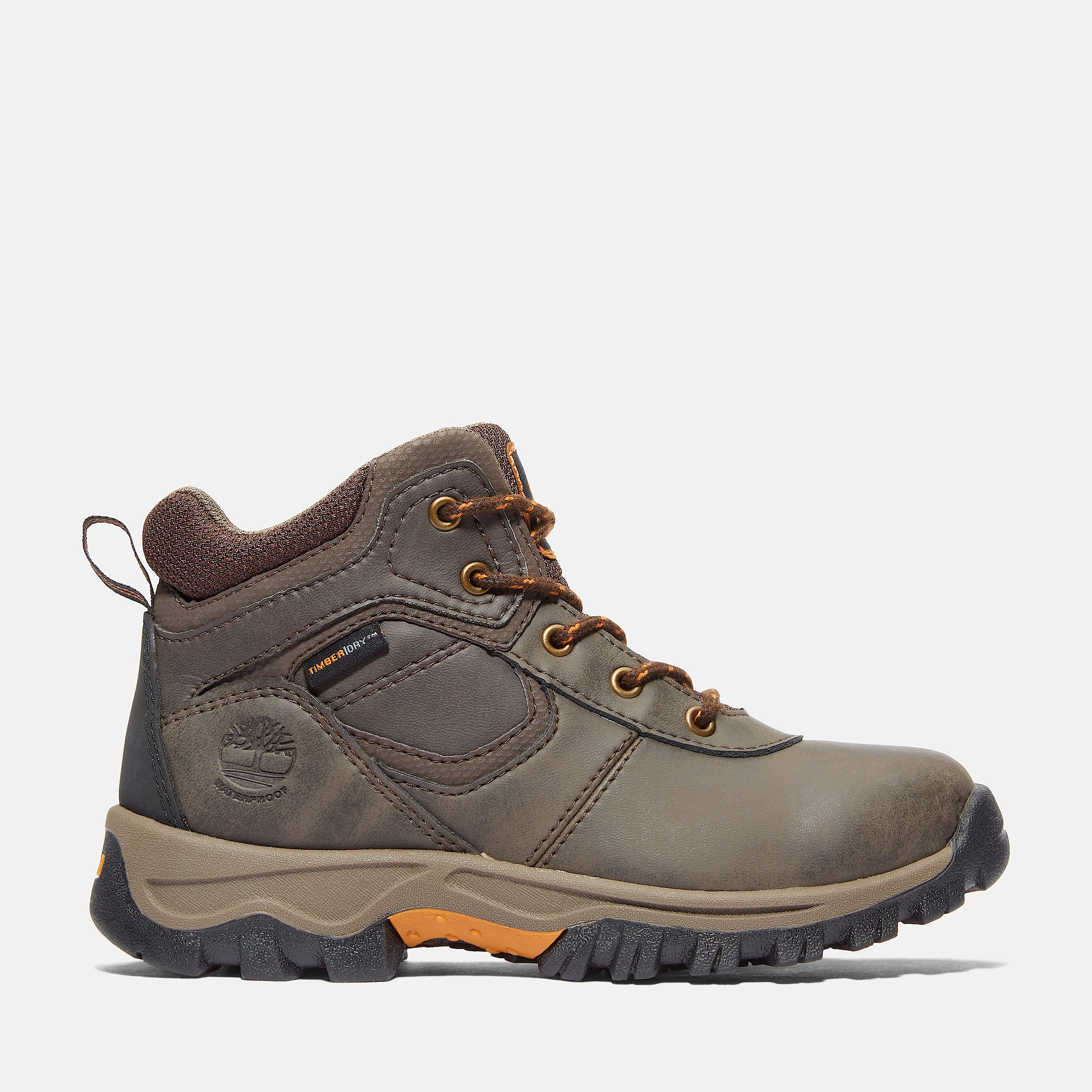 Youth Mt. Maddsen Hiking Boots in Dark Brown Timberland US