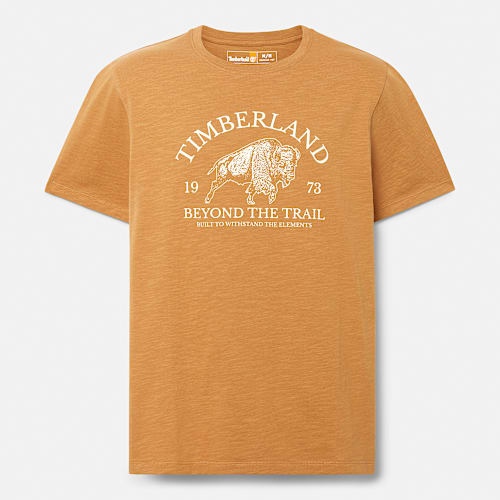 Men's Graphic Short-Sleeve T-Shirt