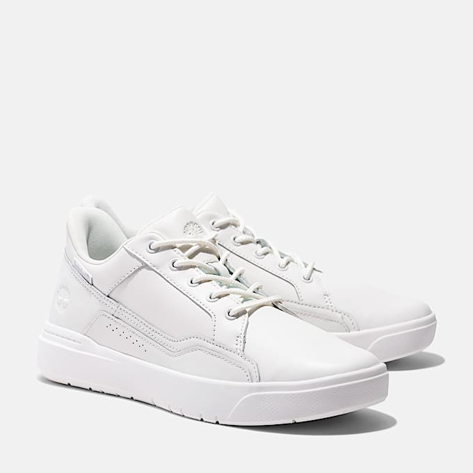 Men's Allston Low Lace-Up Sneaker