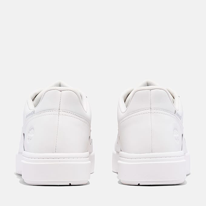 Men's Allston Low Lace-Up Sneaker