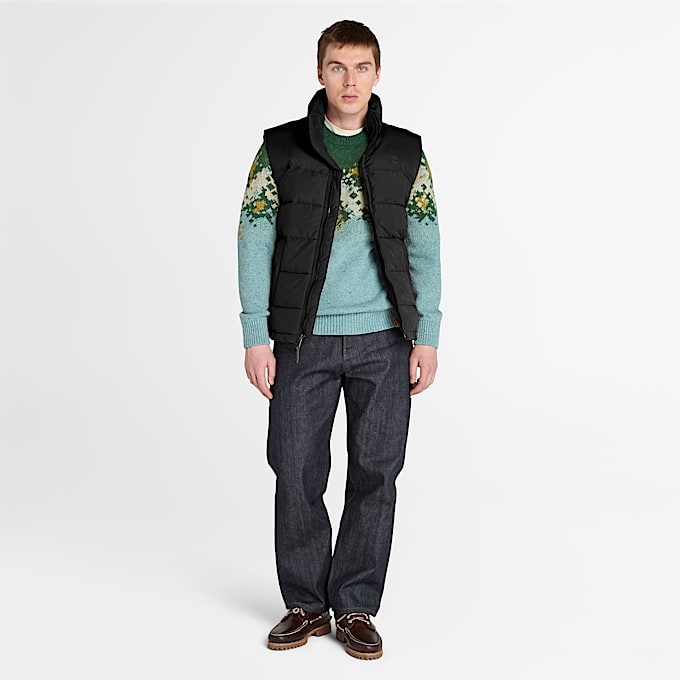 Veste bouffante Welch Mountain avec traitement déperlant durable pour hommes