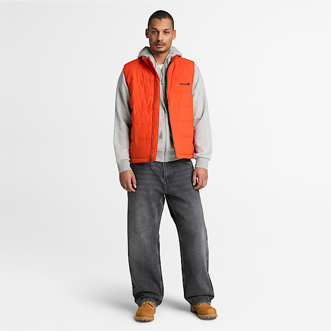 Haut  capuchon Oyster River  glissire avec logo pour hommes TBL Chin gris moyen ALT2