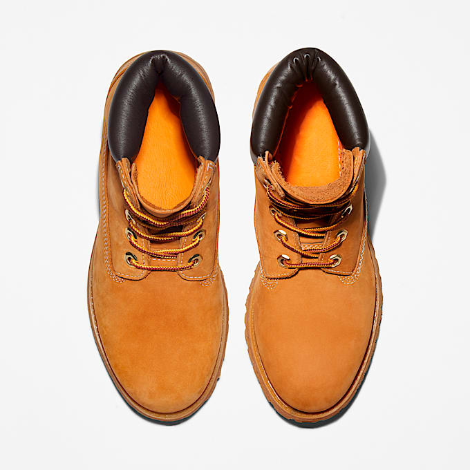 Women's Timberland® Premium 6-Inch Waterproof Boot