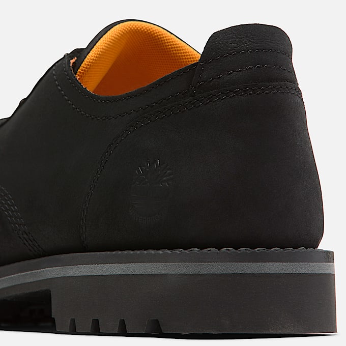 Men's Redwood Falls Lace-Up Waterproof Shoe