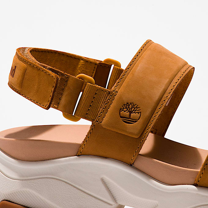 Women’s Adley Way Backstrap Sandal