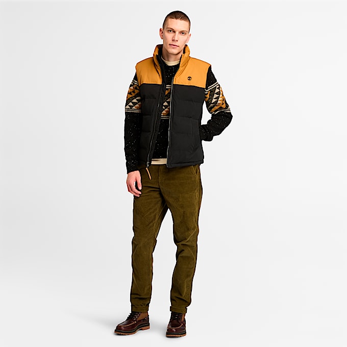 Men's Welch Mountain Durable Water-Repellent Puffer Vest