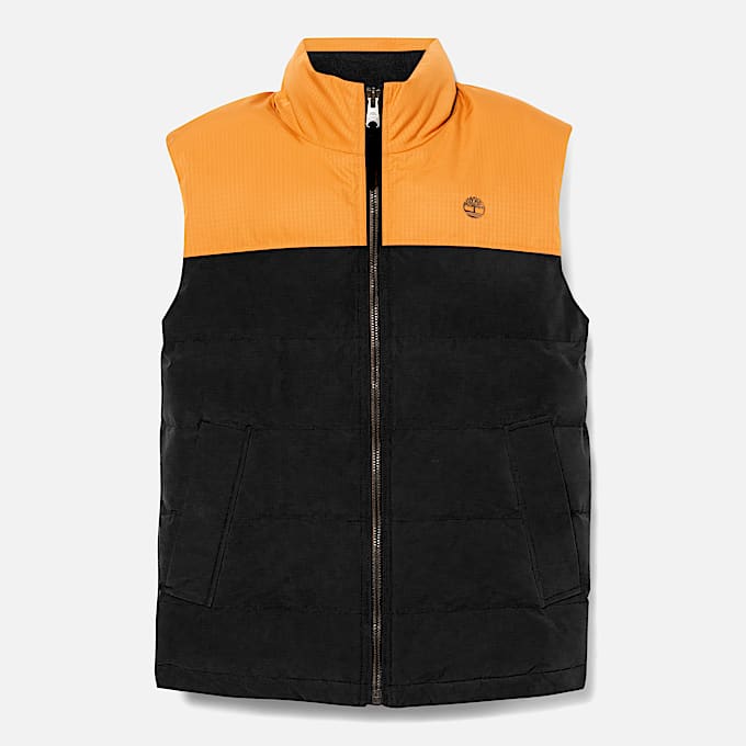 Men's Welch Mountain Durable Water-Repellent Puffer Vest