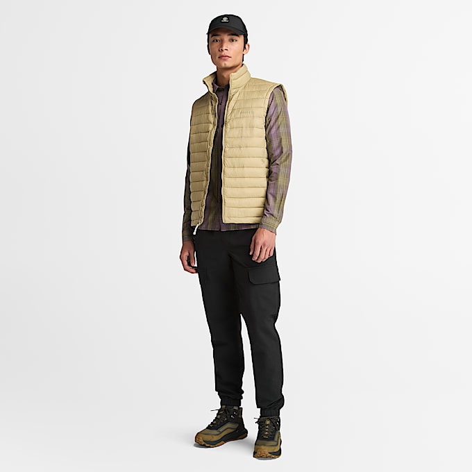 Men's Axis Peak Durable Water-Repellent Vest