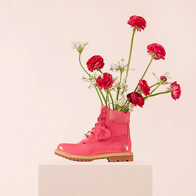 Women's Timberland® Premium 6-Inch Waterproof Boot