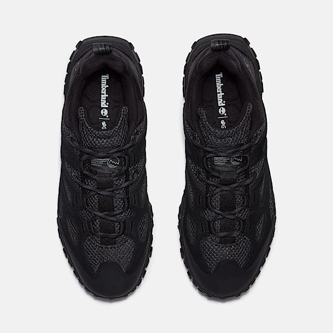 Men's GreenStride™ Motion 6 Sneaker