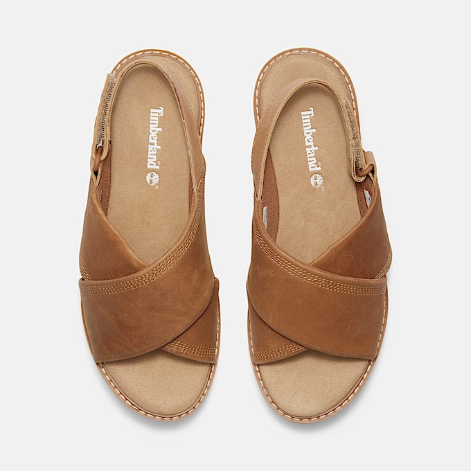 Women's Safari Dawn Backstrap Sandal