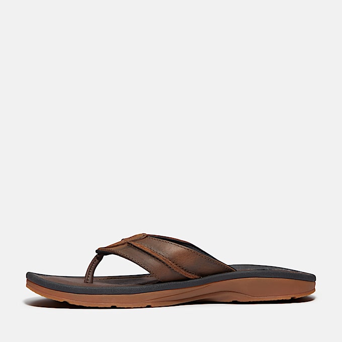 Men's Timberland® Originals Thong Sandal