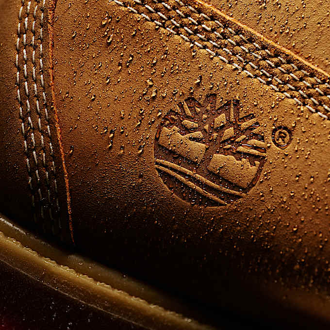 Men's Timberland® Premium 6-Inch Waterproof Boot