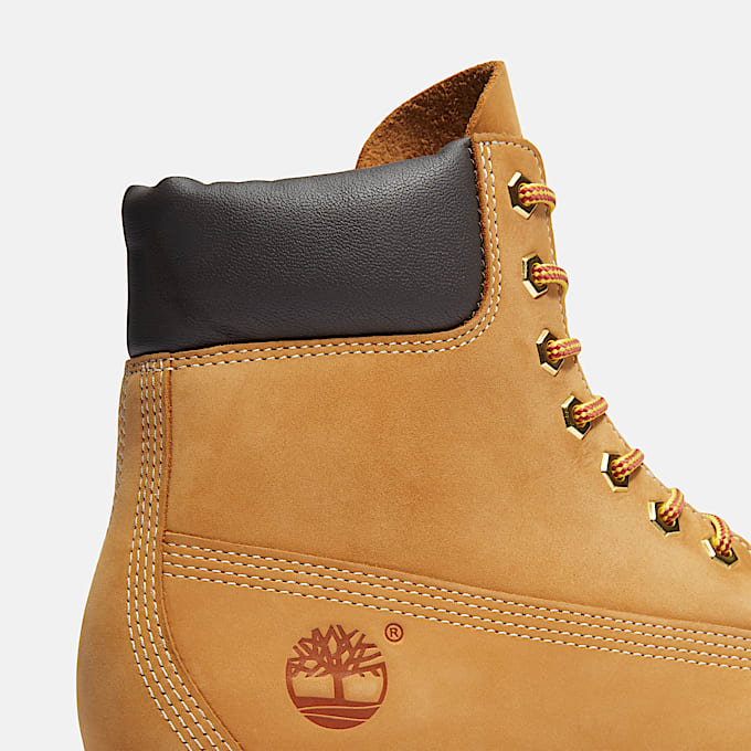 Men's Timberland® 25 6-Inch Waterproof Boot