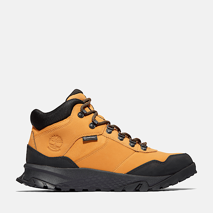 Trekking shoes timberland cheap