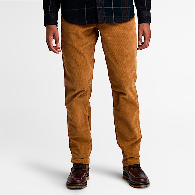 Pantalon chino timberland shop