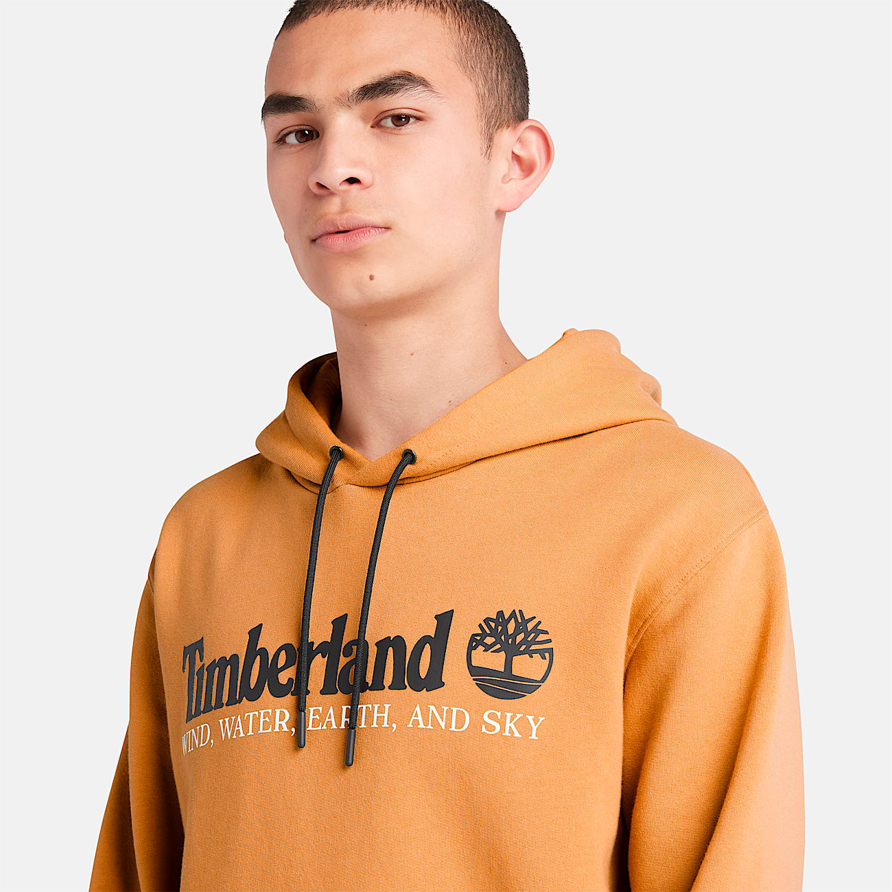 Mens Wind Water Earth and Sky Hoodie TBL Wheat Boot ALT2