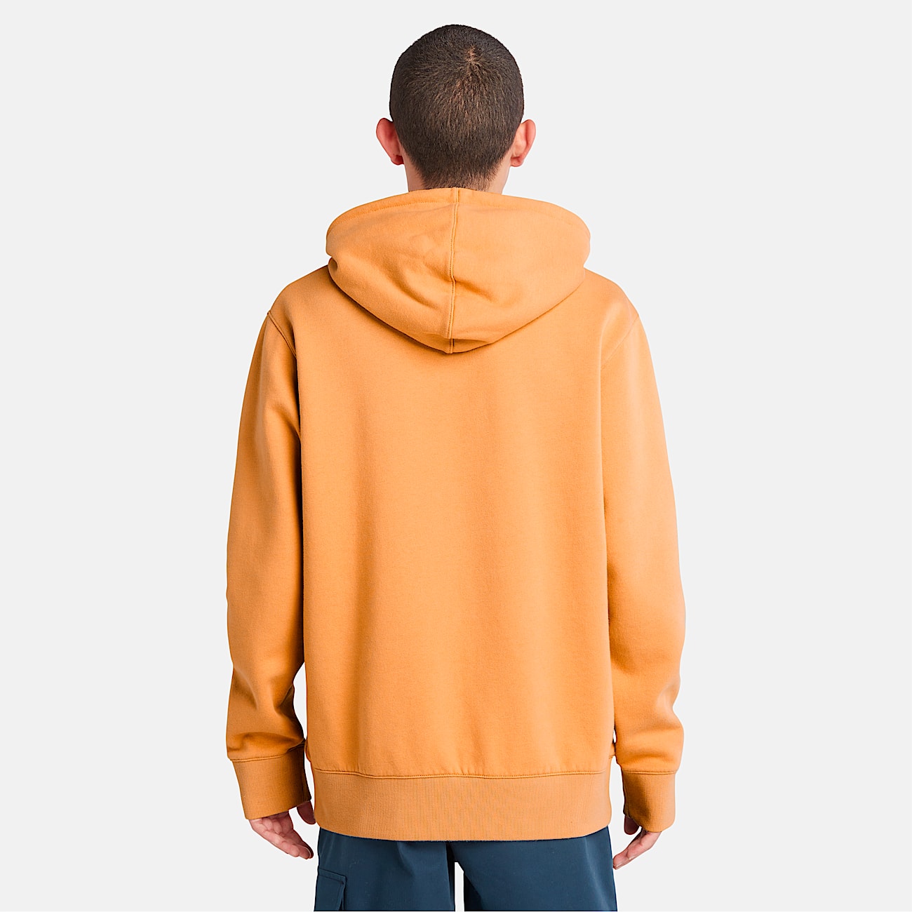 Mens Wind Water Earth and Sky Hoodie TBL Wheat Boot ALT9