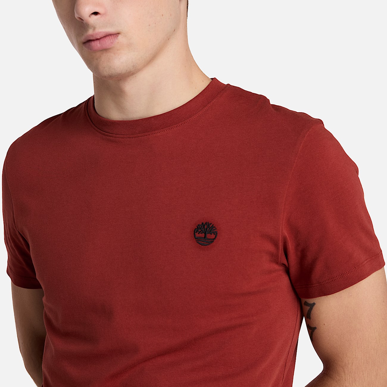 Mens Dunstan River ShortSleeve TShirt TBL Burnt Henna ALT2