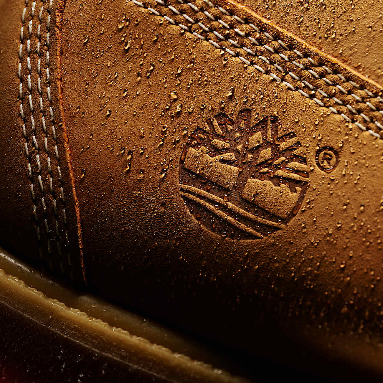 Men's Timberland® Premium 6-Inch Waterproof Boot - 11