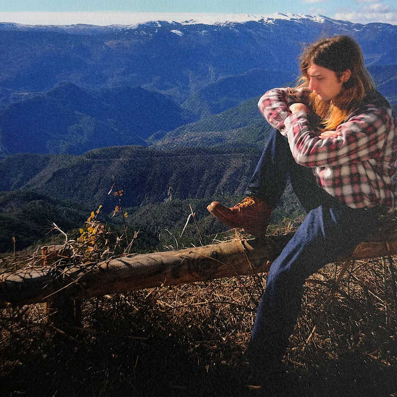 Mens Timberland x OUR LEGACY WORK SHOP 6Inch Boot TBL Acorn Pebbled FullGrain ALTC