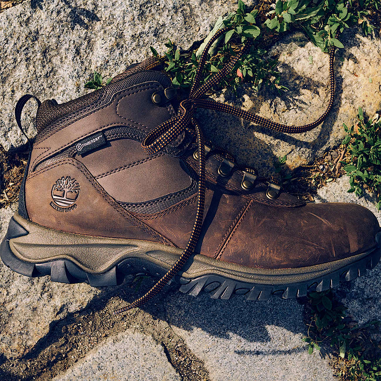 Mens Mt Maddsen Mid Waterproof Hiking Boot TBL Dark Brown ALTC