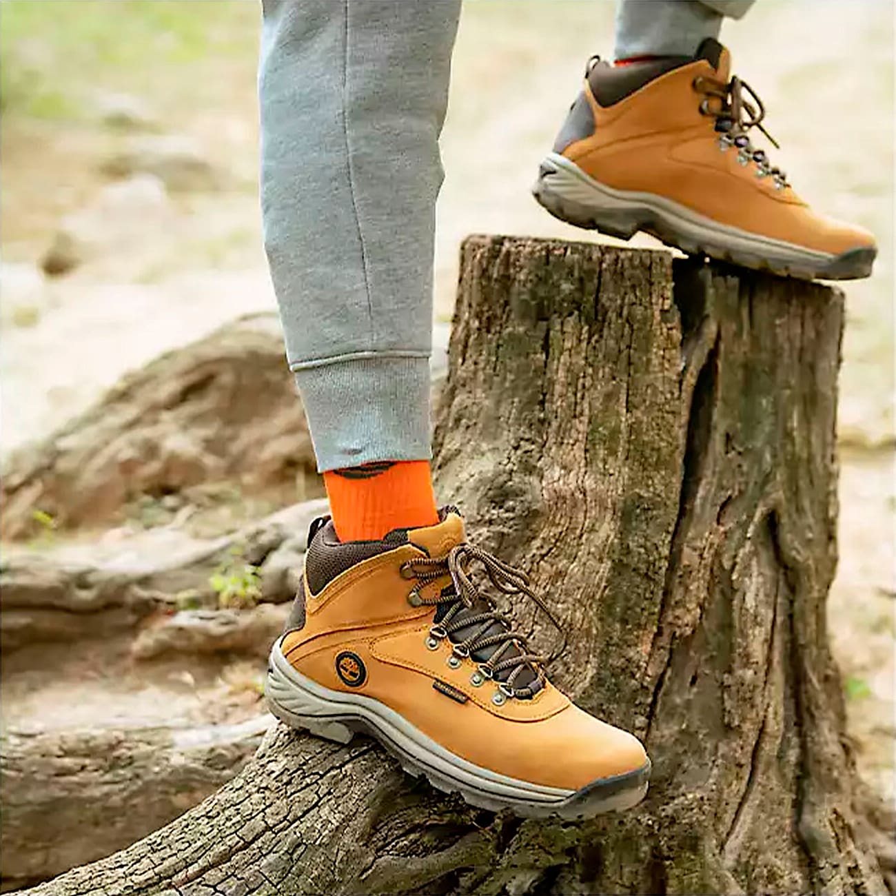 Men's White Ledge Waterproof Mid Hiker Boot