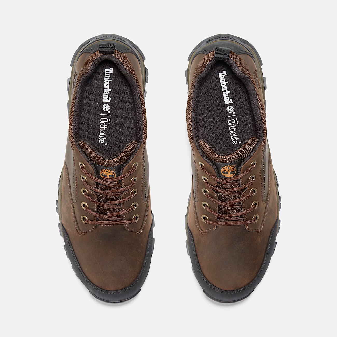 Men's Mt. Maddsen Waterproof Low Hiker Boot